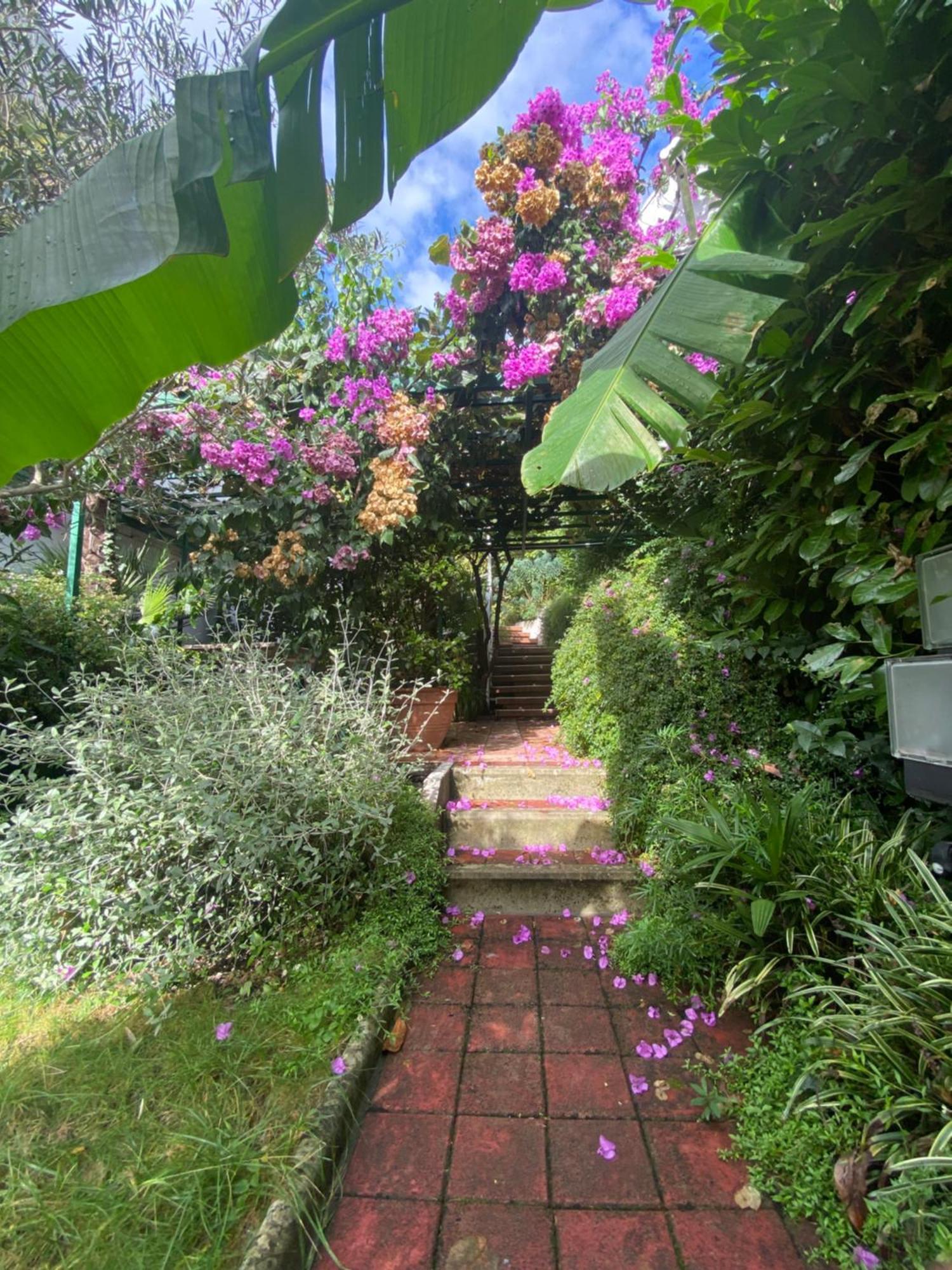 Sunny Garden Daire Opatija Dış mekan fotoğraf